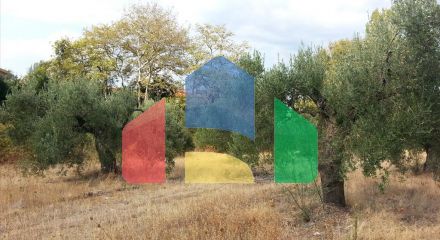 For Sale - Land 3780 m² in Sithonia, Chalkidiki