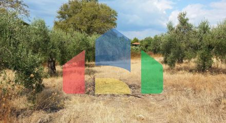 For Sale - Land 3780 m² in Sithonia, Chalkidiki
