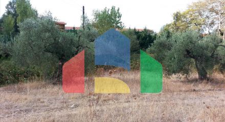 For Sale - Land 3780 m² in Sithonia, Chalkidiki