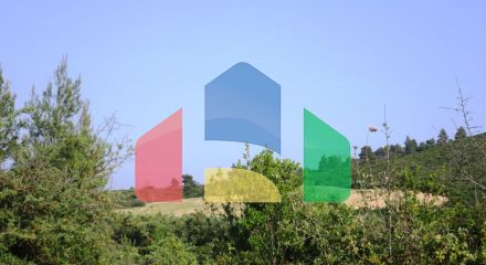 Продажа - Земельный участок 12000 m² на Ситонии (Халкидики)