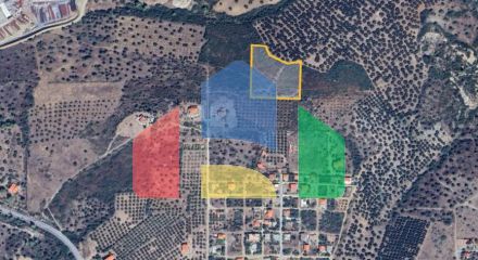 For Sale - Land 8000 m² in Sithonia, Chalkidiki