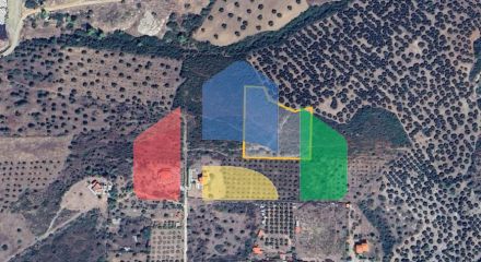 For Sale - Land 8000 m² in Sithonia, Chalkidiki
