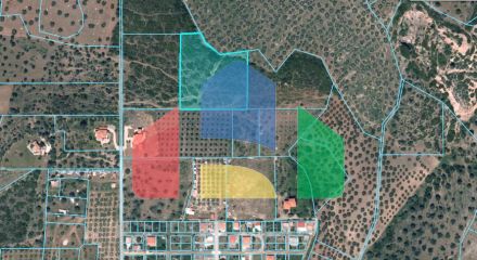 For Sale - Land 8000 m² in Sithonia, Chalkidiki