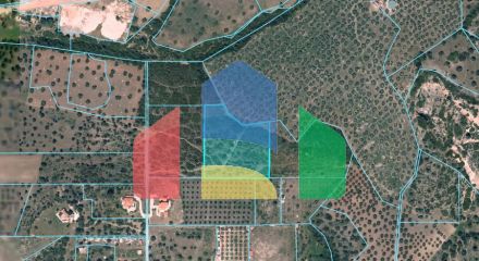 For Sale - Land 8000 m² in Sithonia, Chalkidiki