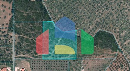 For Sale - Land 8000 m² in Sithonia, Chalkidiki