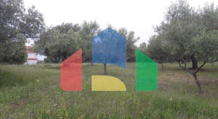 Продажа - Земельный участок 4002 m² на Ситонии (Халкидики)