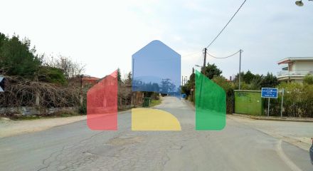 Продажа - Коттедж 230 m² на Ситонии (Халкидики) Продажа - Коттедж 230 m² на Ситонии (Халкидики)