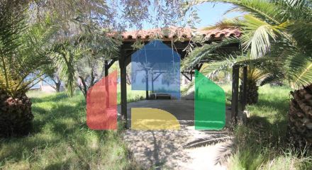 Продажа - Коттедж 145 m² на Ситонии (Халкидики) Продажа - Коттедж 145 m² на Ситонии (Халкидики)