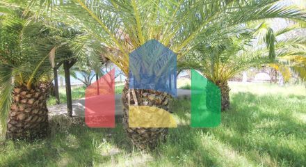 Продажа - Коттедж 145 m² на Ситонии (Халкидики) Продажа - Коттедж 145 m² на Ситонии (Халкидики)