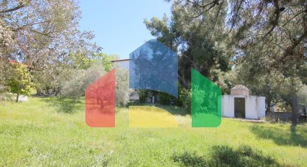 Продажа - Коттедж 145 m² на Ситонии (Халкидики) Продажа - Коттедж 145 m² на Ситонии (Халкидики)