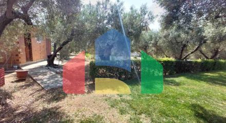 For Sale - Land 19000 m² in Sithonia, Chalkidiki