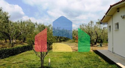 For Sale - Land 19000 m² in Sithonia, Chalkidiki