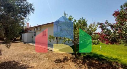 For Sale - Land 19000 m² in Sithonia, Chalkidiki