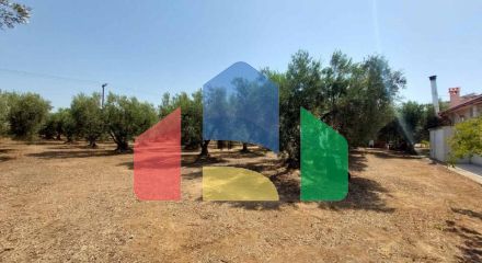 Продажа - Земельный участок 19000 m² на Ситонии (Халкидики)