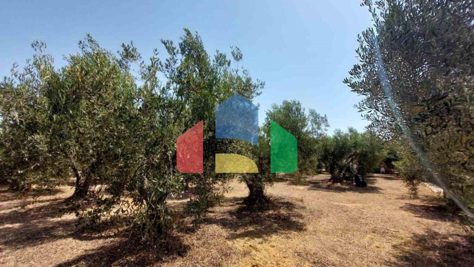 Продажа - Земельный участок 19000 m² на Ситонии (Халкидики)