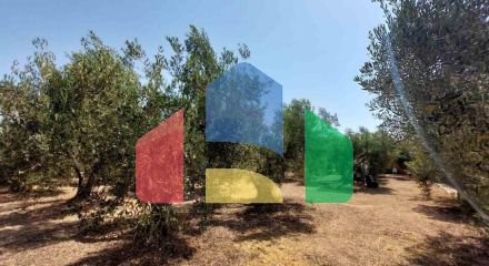 Продажа - Земельный участок 19000 m² на Ситонии (Халкидики)