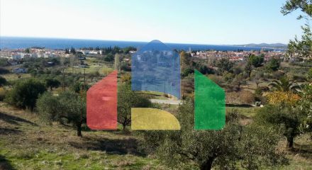 For Sale - Land 5000 m² in Sithonia, Chalkidiki