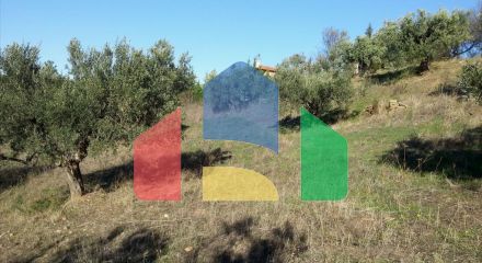 For Sale - Land 5000 m² in Sithonia, Chalkidiki