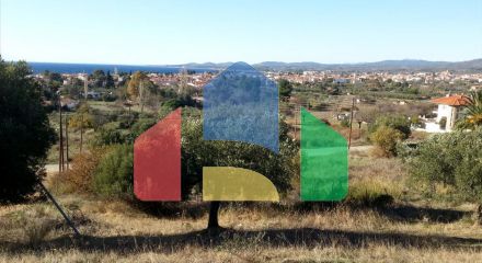 For Sale - Land 5000 m² in Sithonia, Chalkidiki
