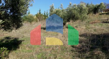 For Sale - Land 5000 m² in Sithonia, Chalkidiki