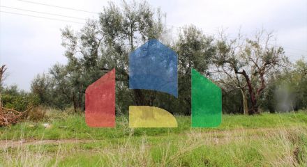 Продажа - Земельный участок 6500 m² на Ситонии (Халкидики)