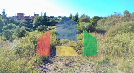 Продаж - Земельна ділянка 36000 m² на Сітонії (Халкідіки)