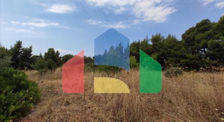 For Sale - Land 4003 m² in Sithonia, Chalkidiki