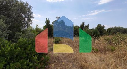 For Sale - Land 4003 m² in Sithonia, Chalkidiki