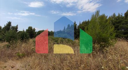 For Sale - Land 4003 m² in Sithonia, Chalkidiki