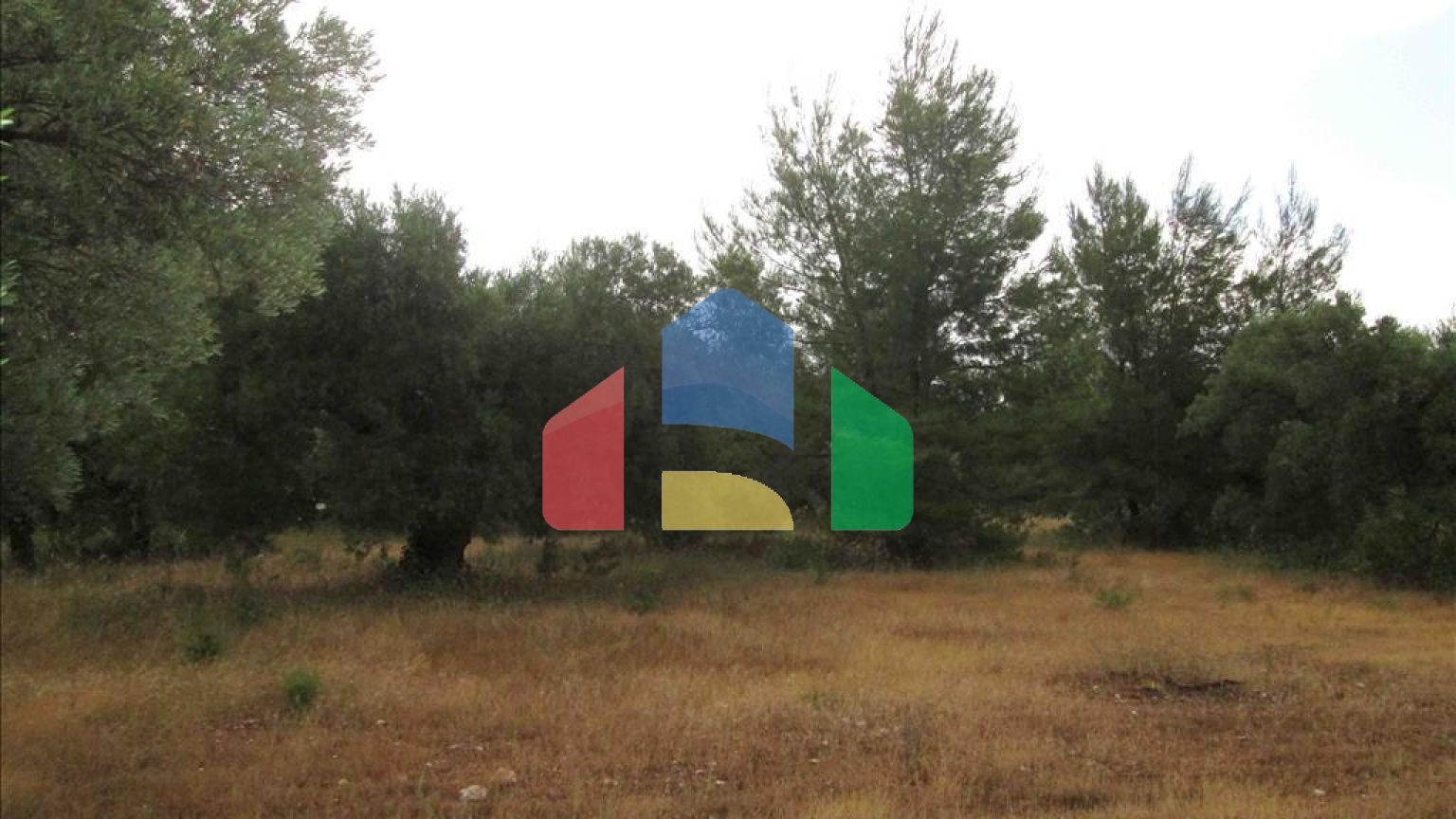 Продажа - Земельный участок 54096 m² на Ситонии (Халкидики)