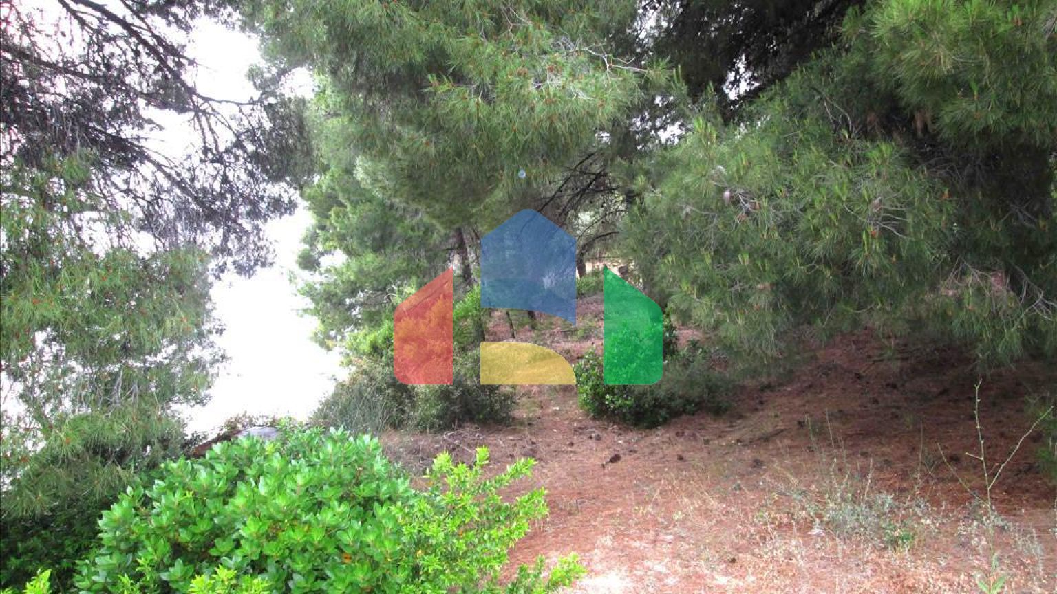 Продажа - Земельный участок 54096 m² на Ситонии (Халкидики)