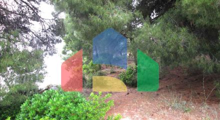 Продажа - Земельный участок 54096 m² на Ситонии (Халкидики)