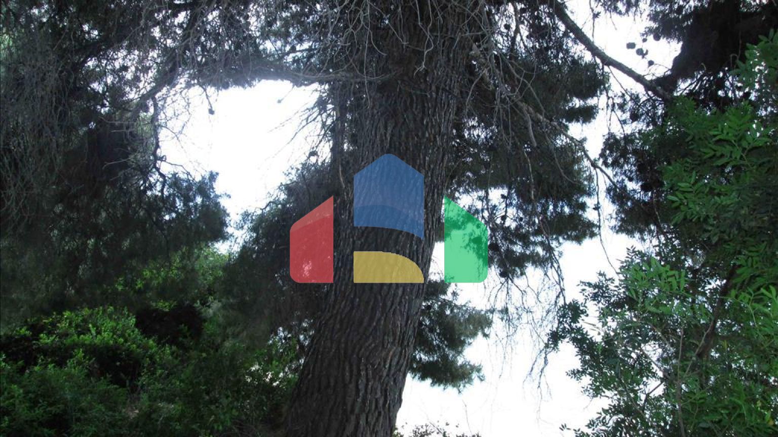 Продажа - Земельный участок 54096 m² на Ситонии (Халкидики)