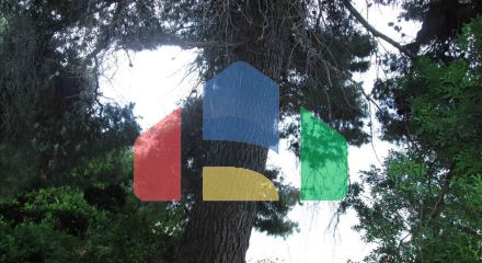 Продажа - Земельный участок 54096 m² на Ситонии (Халкидики)