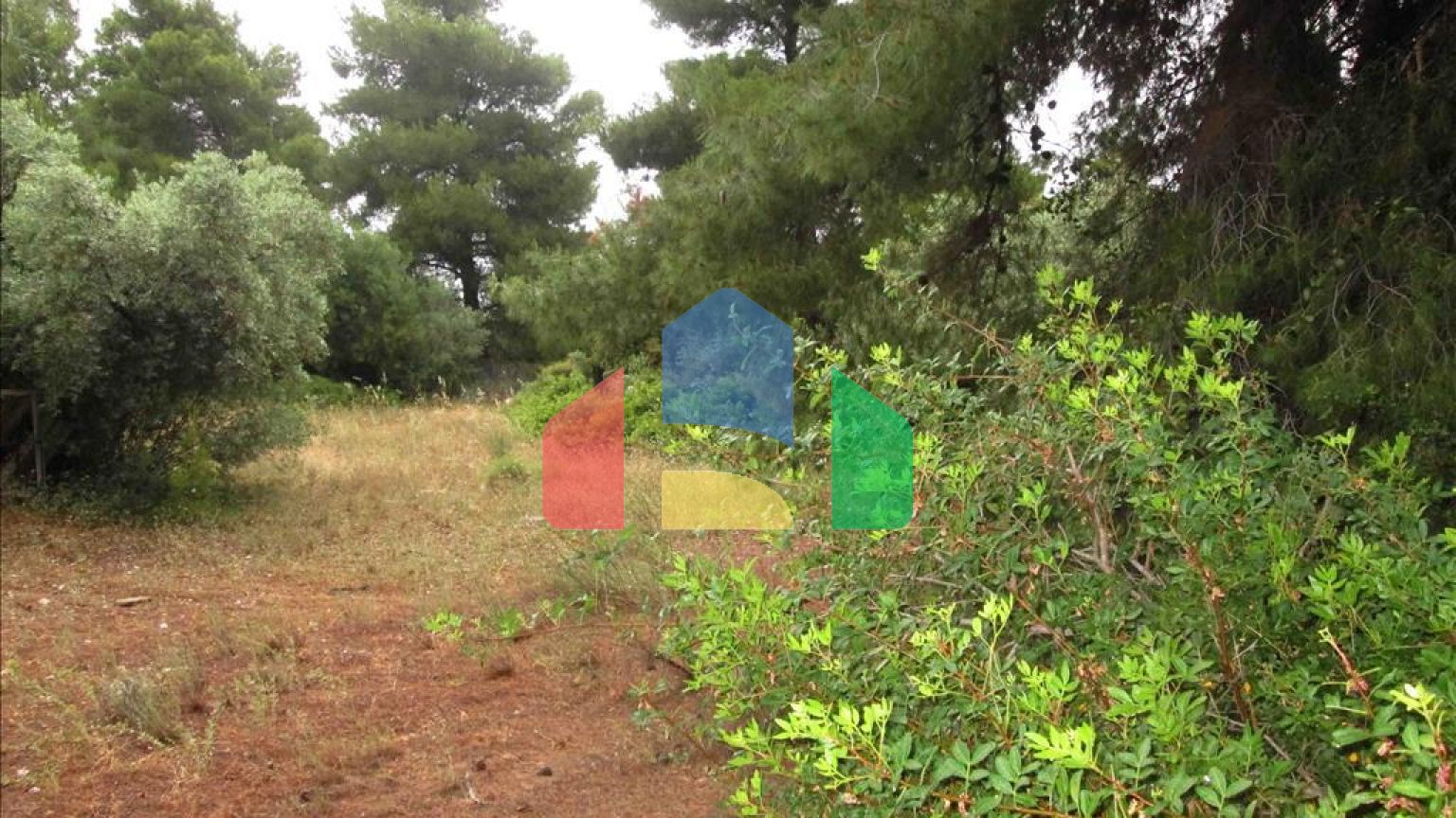 Продажа - Земельный участок 54096 m² на Ситонии (Халкидики)