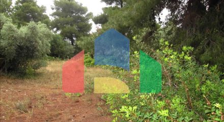 Продажа - Земельный участок 54096 m² на Ситонии (Халкидики)