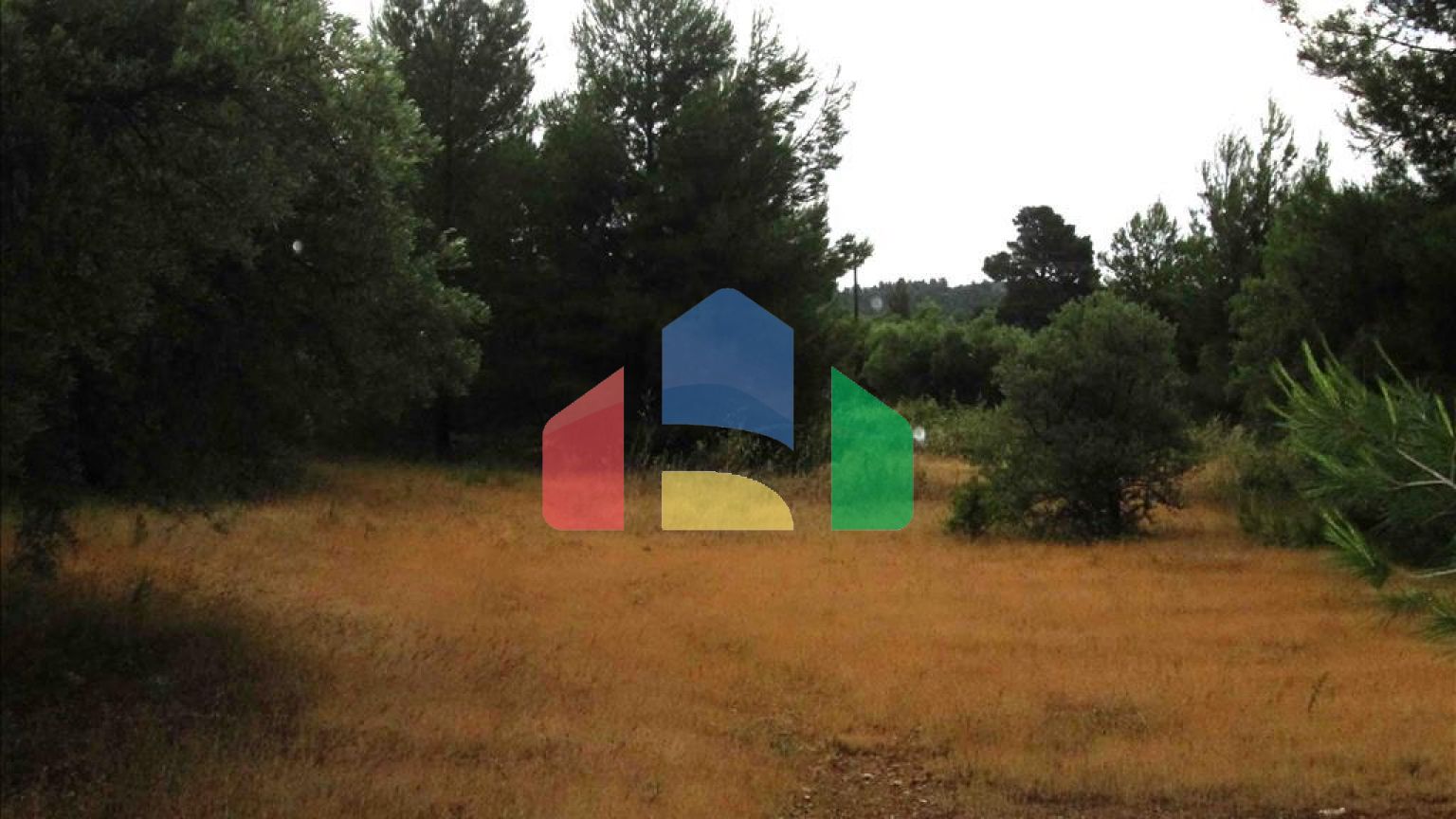 Продажа - Земельный участок 54096 m² на Ситонии (Халкидики)