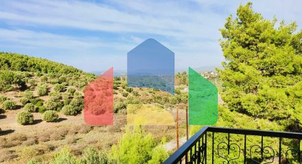 Продажа - Вилла 300 m² на Ситонии (Халкидики) Продажа - Вилла 300 m² на Ситонии (Халкидики)