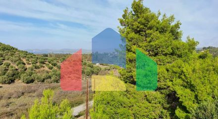 Продажа - Вилла 300 m² на Ситонии (Халкидики) Продажа - Вилла 300 m² на Ситонии (Халкидики)