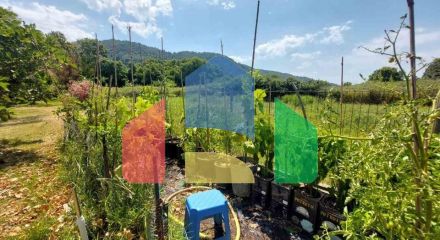 Продажа - Коттедж 100 m² на Ситонии (Халкидики) Продажа - Коттедж 100 m² на Ситонии (Халкидики)