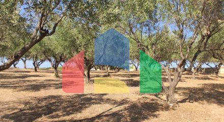 For Sale - Land 2700 m² in Sithonia, Chalkidiki
