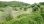 For Sale - Land 2000 m² in Sithonia, Chalkidiki