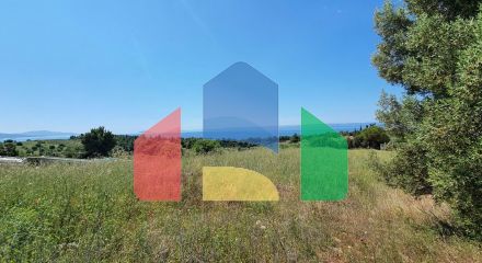 For Sale - Land 4000 m² in Sithonia, Chalkidiki