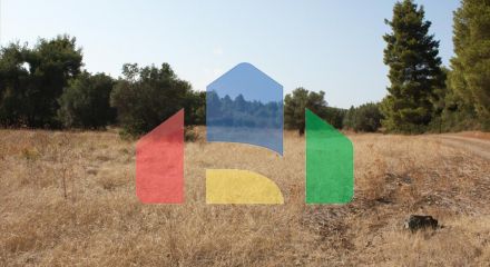 Продаж - Земельна ділянка 4960 m² на Сітонії (Халкідіки)