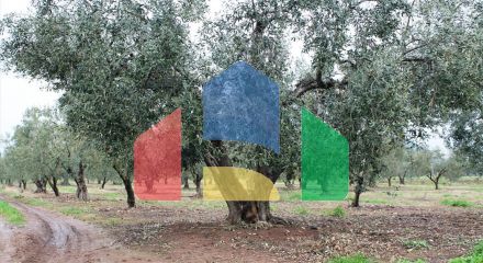 For Sale - Land 4980 m² in Sithonia, Chalkidiki