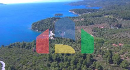 For Sale - Land 23000 m² in Sithonia, Chalkidiki