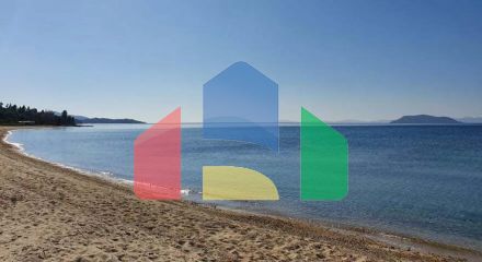 For Sale - Land 23000 m² in Sithonia, Chalkidiki