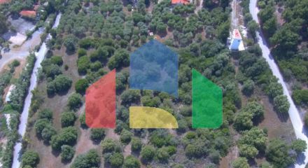 For Sale - Land 23000 m² in Sithonia, Chalkidiki