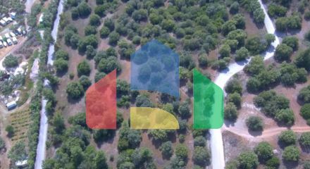 For Sale - Land 23000 m² in Sithonia, Chalkidiki
