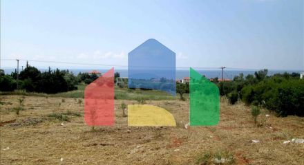Продаж - Земельна ділянка 6534 m² на Сітонії (Халкідіки)